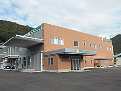General Descriiption of Company